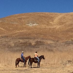 Meet your Posher, Drew